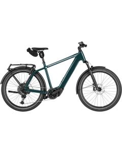 R & M CHARGER 5 TOURING T ABS 800WH DI grün-pine 53cm
