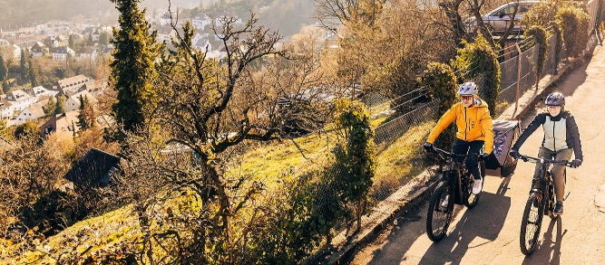 Die speziellen Vorzüge des Trekking Pedelecs