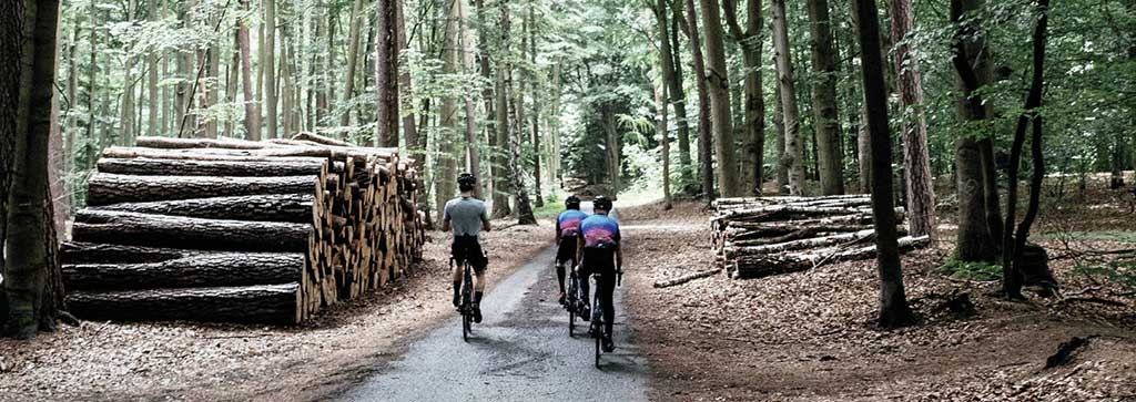 Erkundungsfahrt mit dem Fahrrad durch den Wald, anstatt immer nur Stadt.