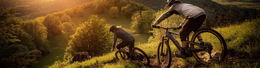 Mit dem richtigen MTB über Stock und Stein