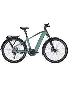 KALKHOFF ENTICE 5+ EXCITE ABS 800WH DI grün L - 53cm (29")