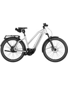 R & M CHARGER 5 MIXTE VARIO TR silber (magnesium) 45cm