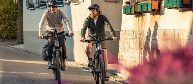E-Bikes Trekking mit Akkupower für noch mehr Fahrfreude