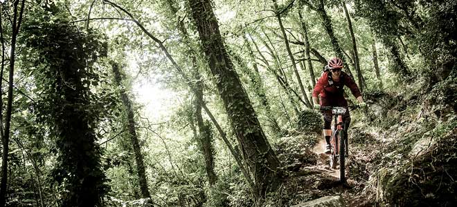 Mountainbike MTB für Herren für Offroad
